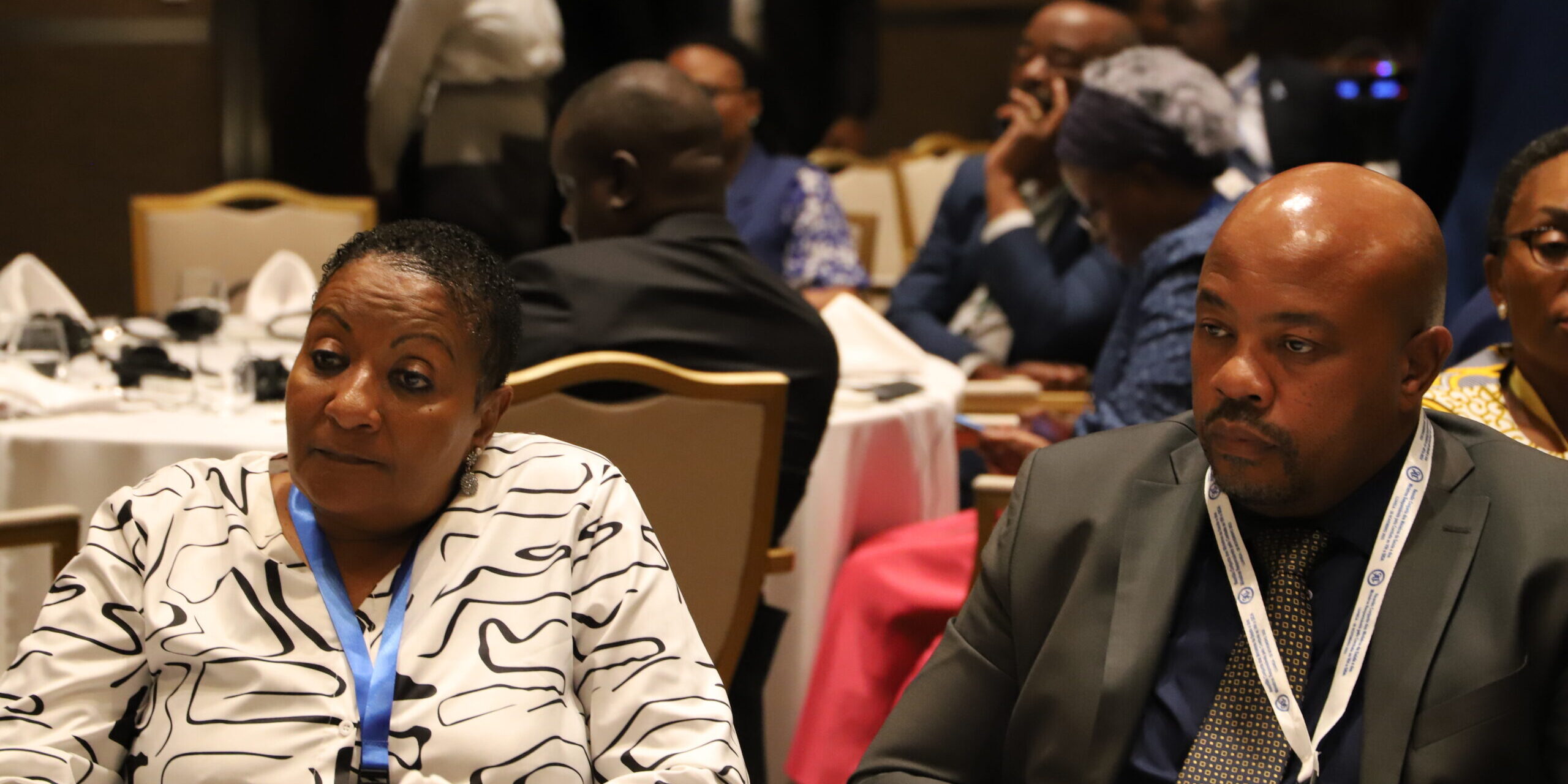 SADC THE GLOBAL FUND AFRICAN CONSTITUENCY BUREAU