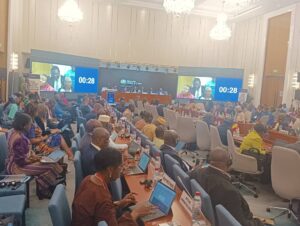 Lusaka Agenda side event